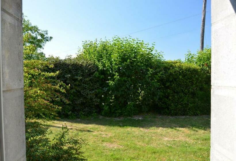 غرفة قياسية لذوى الاحتياجات الخاصة, Tartigousse