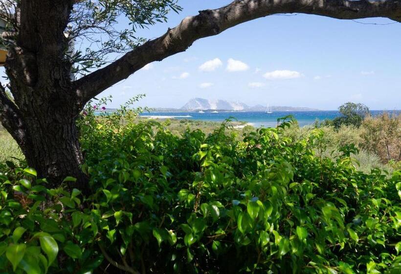 اتاق لوکس, Villa Minda Lodge & View