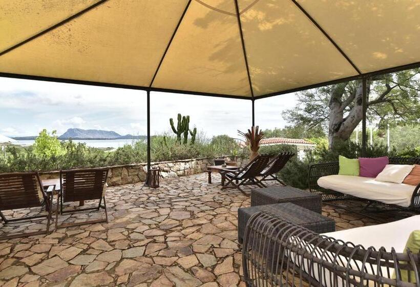 اتاق استاندارد با تخت بزرگ, Villa Minda Lodge & View