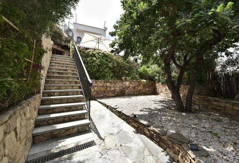 اتاق لوکس, Villa Minda Lodge & View