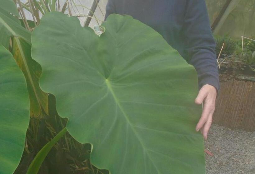 1階の1ベッドルームアパートメント, Mouhet Appartement Sortie 21 A20