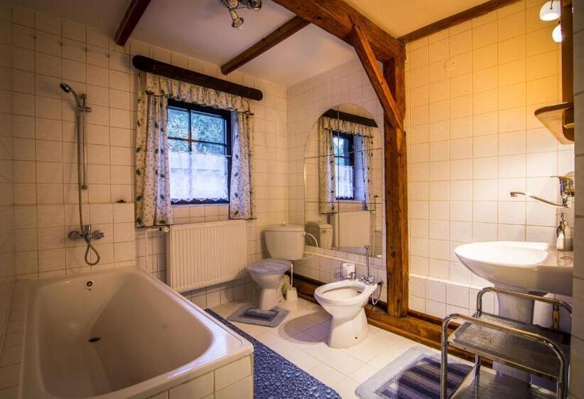 غرفة قياسية, Penzion U Sovy