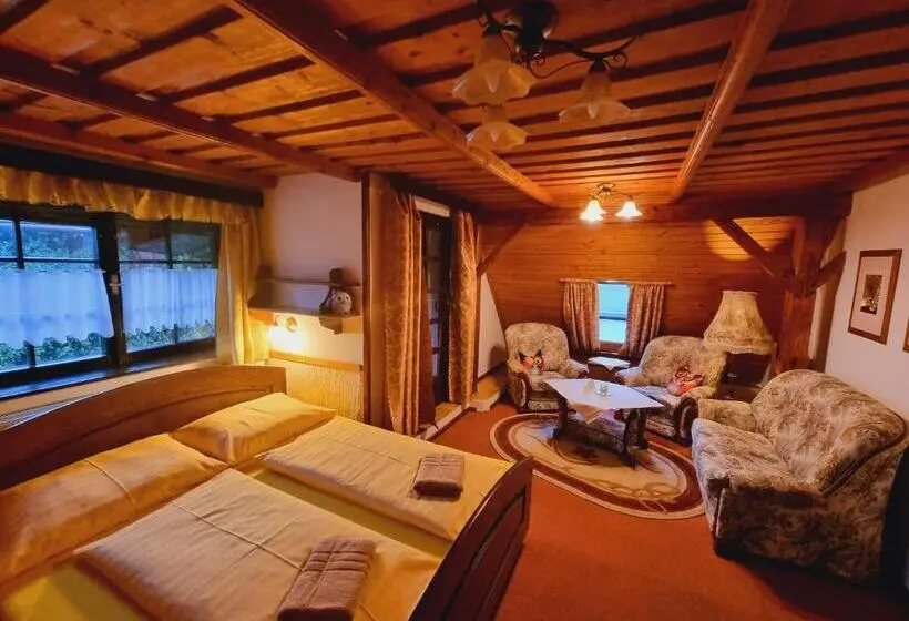 Standard-huone, Penzion U Sovy