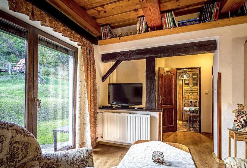 شقة غرفة نوم واحدة بالطابق الأرضى, Penzion U Sovy