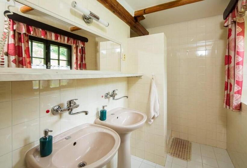 غرفة قياسية, Penzion U Sovy