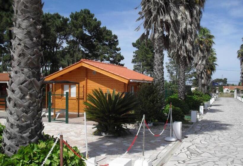 بنجلو قياسى غرفتين نوم, Lobateira Villas