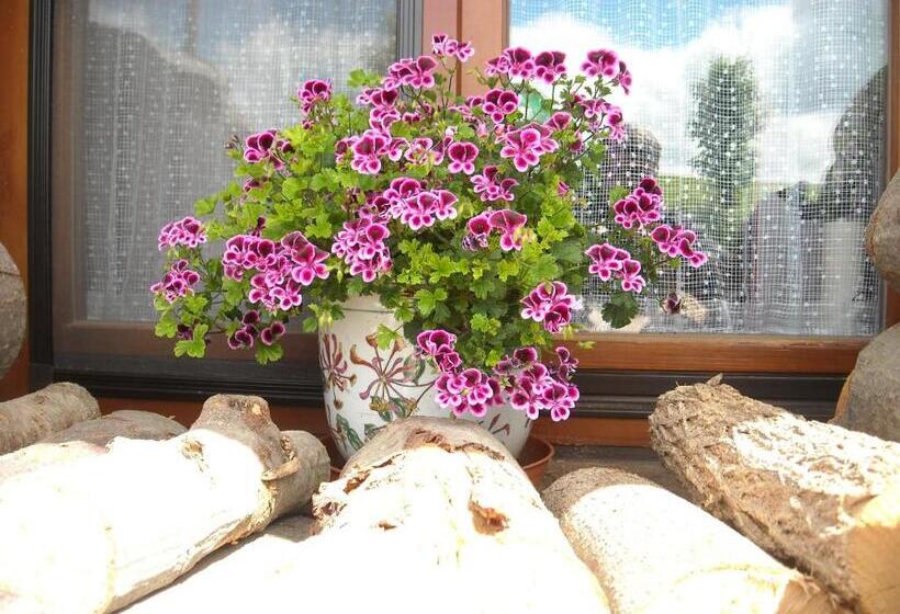 스탠다드 룸, Penzion Bázum