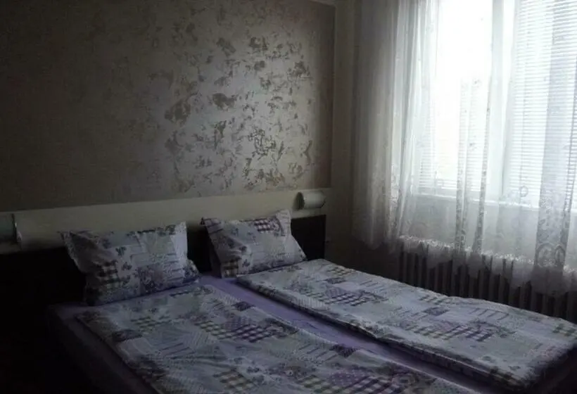 スタンダードルーム, Sakutski House
