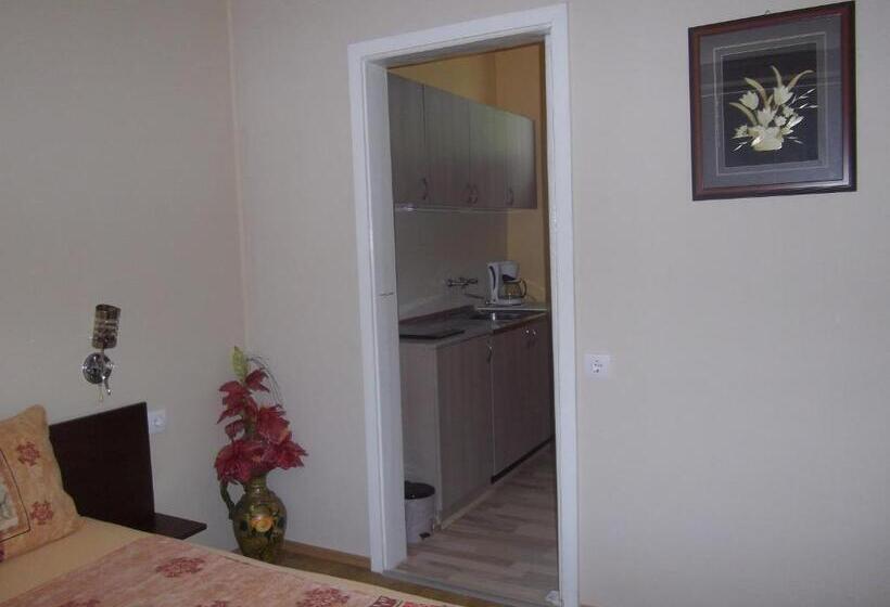 إستوديو قياسى, Sakutski House