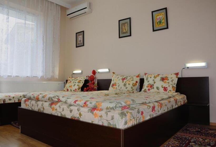 إستوديو قياسى, Sakutski House