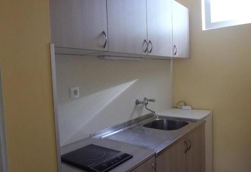 إستوديو قياسى, Sakutski House