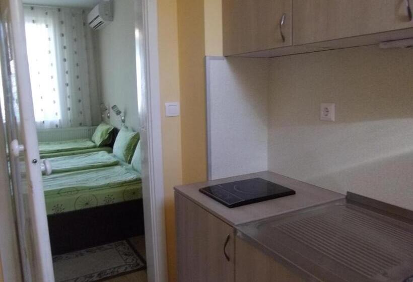 إستوديو قياسى, Sakutski House