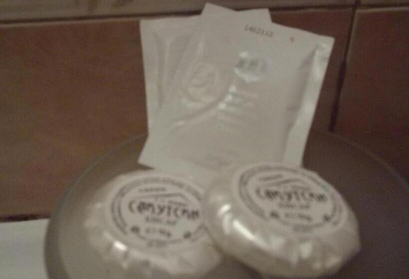 غرفة قياسية, Sakutski House