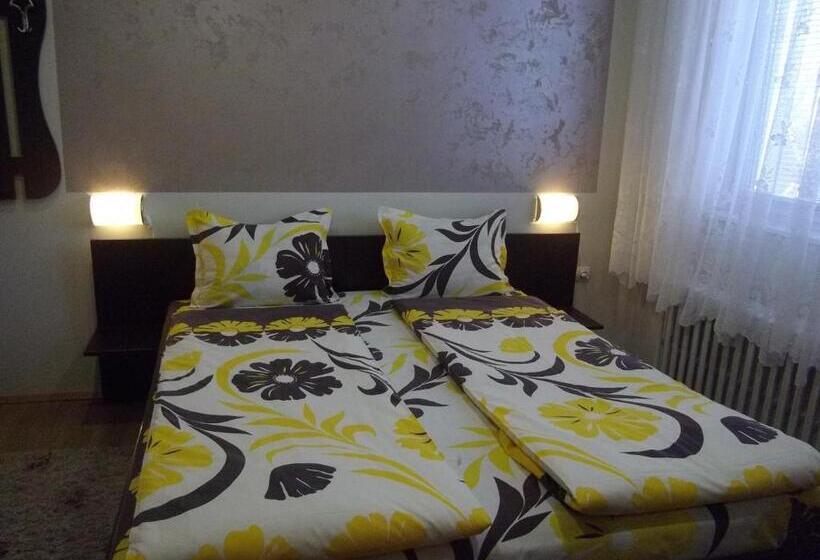 غرفة قياسية, Sakutski House