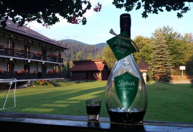 בית, חדר שינה 1, Pensiunea Irina