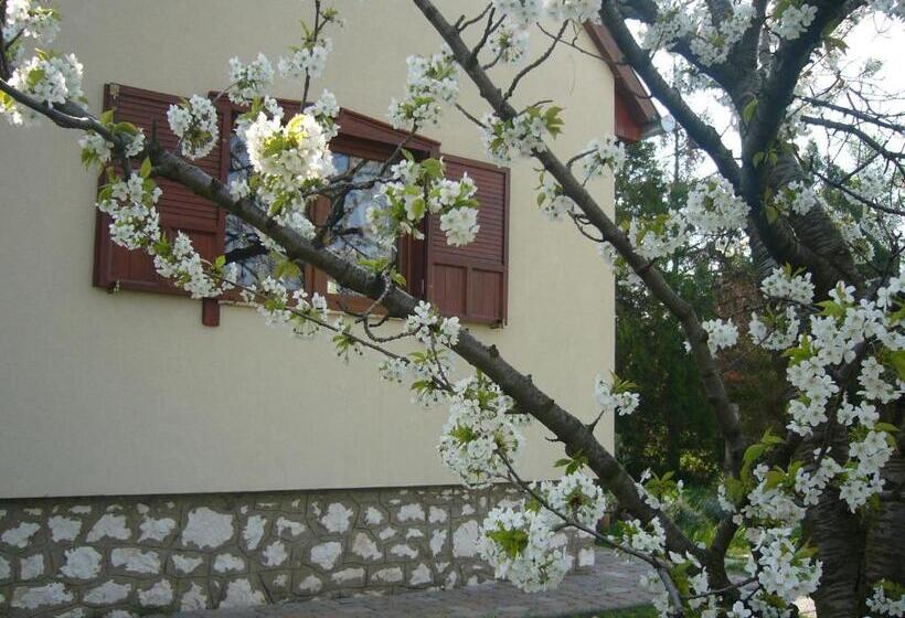 Дом 1 Спальня, Cseresznyevirág Vendégházak