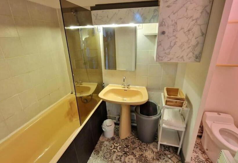 带1个卧室的公寓, Appart Hôtel Roanne Hyper Centre Ville