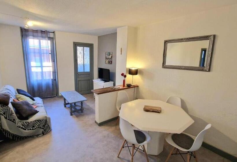 Апартаменты 1 Спальня, Appart Hôtel Roanne Hyper Centre Ville