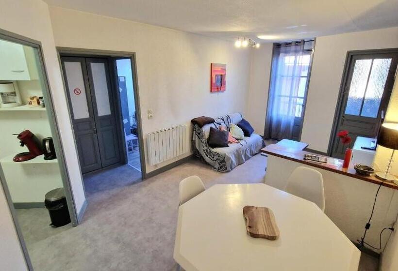 带1个卧室的公寓, Appart Hôtel Roanne Hyper Centre Ville