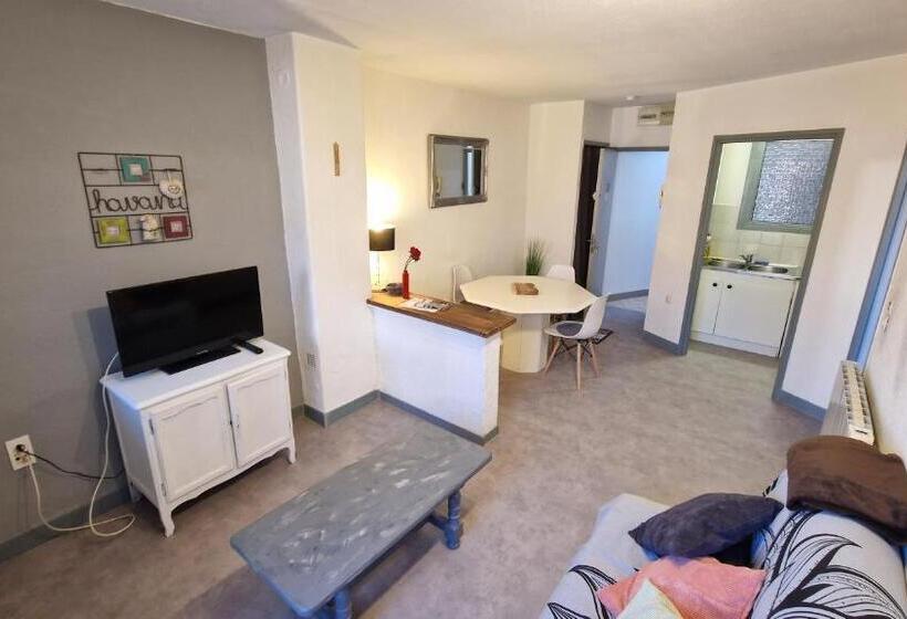 带1个卧室的公寓, Appart Hôtel Roanne Hyper Centre Ville