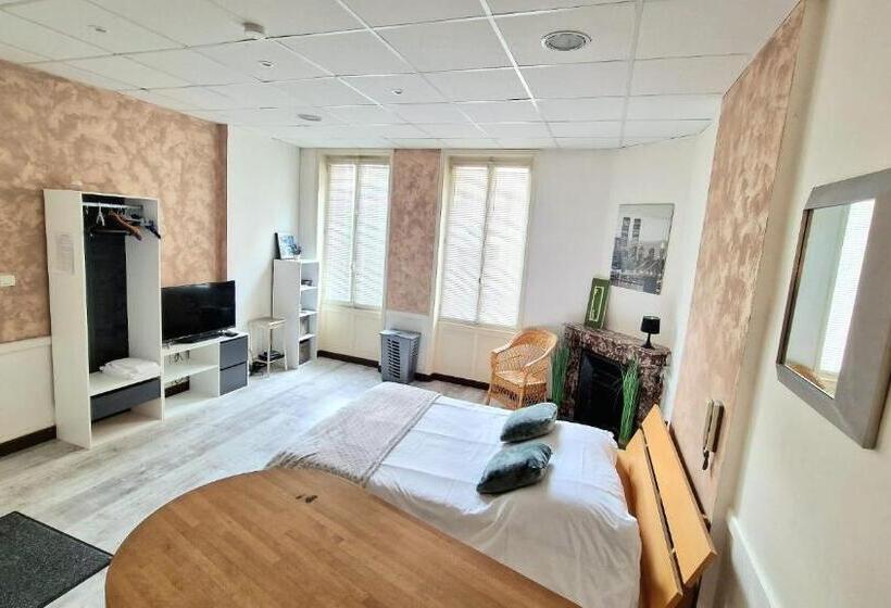 Студия Стандарт, Appart Hôtel Roanne Hyper Centre Ville