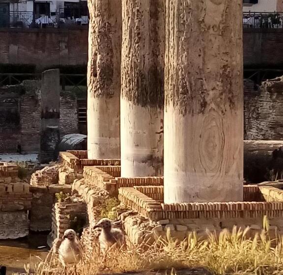 شقة غرفتين, Il Nido Della Quaglia B&b   Jaba Mia House Lt