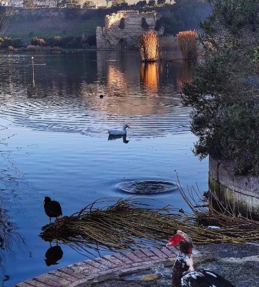 شقة غرفتين, Il Nido Della Quaglia B&b   Jaba Mia House Lt