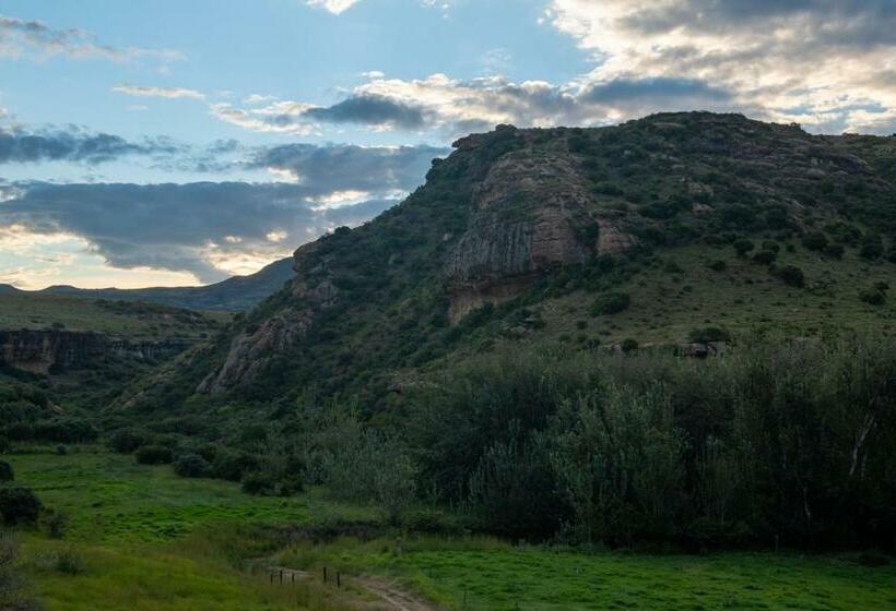 בקתה סטנדרטית, Fairview Estates