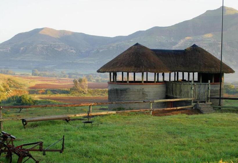 בקתה סטנדרטית, Fairview Estates