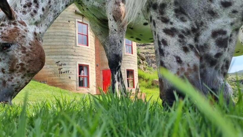 בקתה סטנדרטית, Fairview Estates