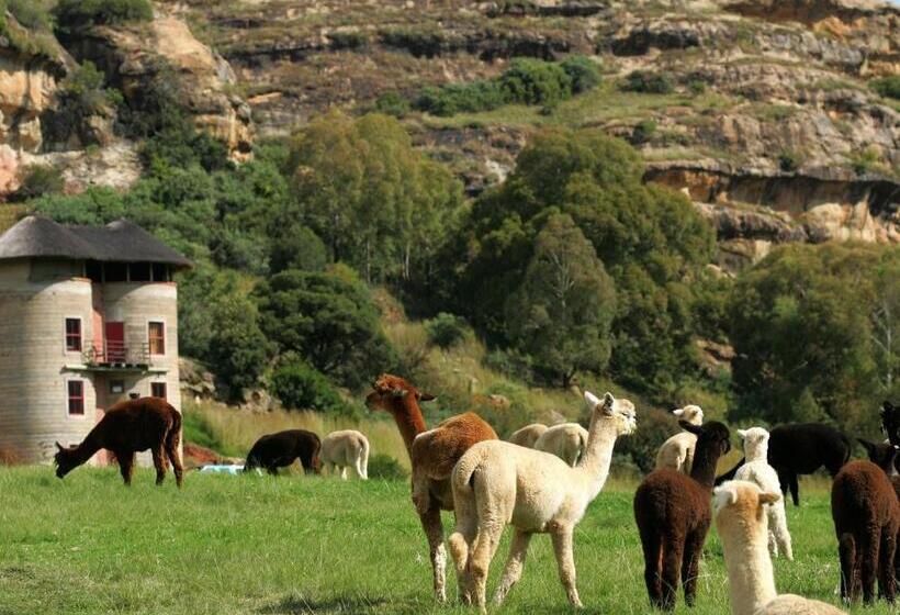 בקתה סטנדרטית, Fairview Estates