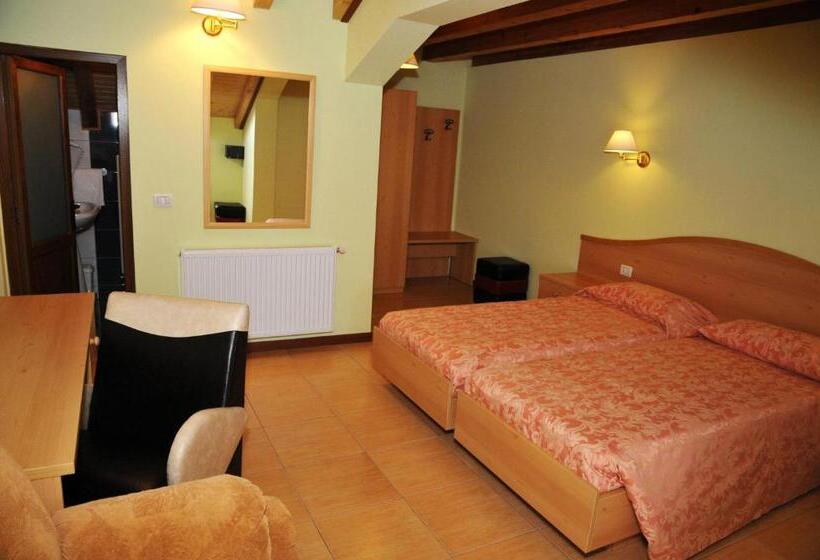 Номер Стандарт с Балконом, Pensiunea Lory