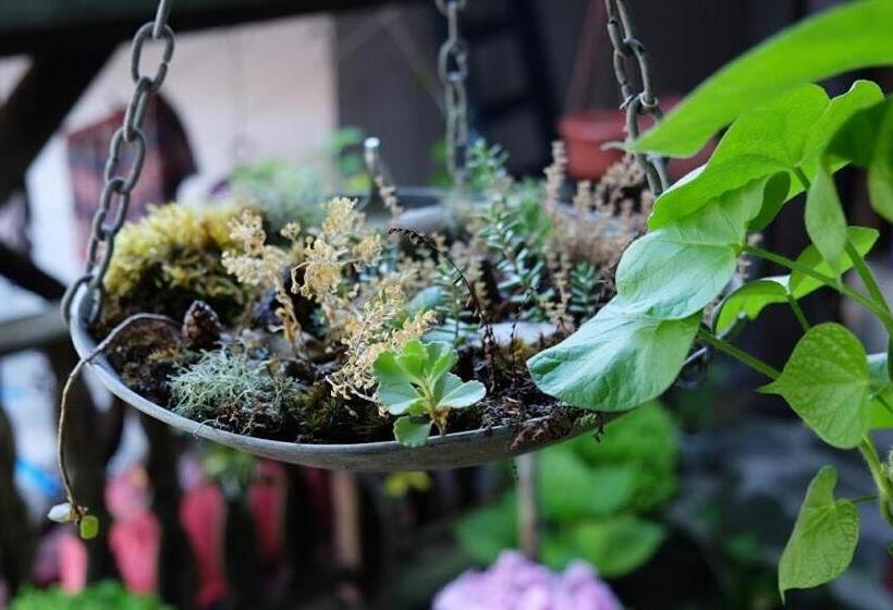 تختخواب در اتاق مشترک, Hikers Hostel