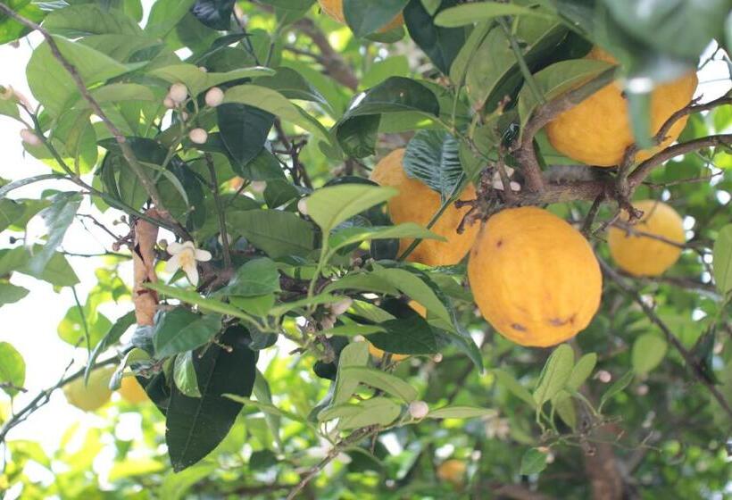 빌라 1 베드룸 - 수영장, Quinta Casa Da Fonte