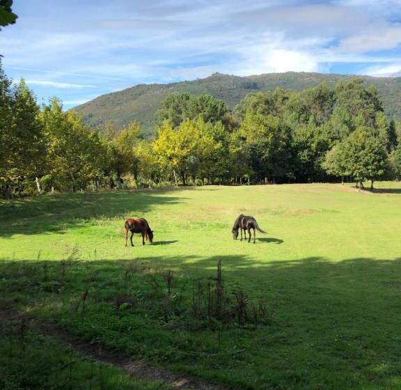 빌라 1 베드룸 - 수영장, Quinta Casa Da Fonte