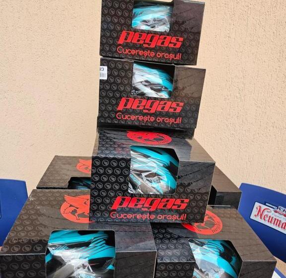 标准间带阳台, Pensiunea Kyfana Zarnesti