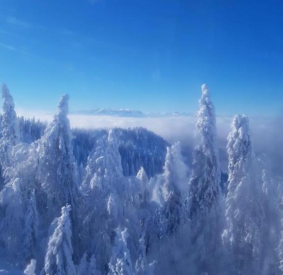 标准间带阳台, Pensiunea Kyfana Zarnesti