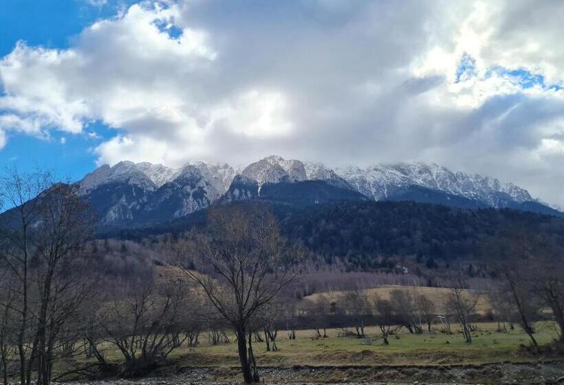 家庭间, Pensiunea Kyfana Zarnesti