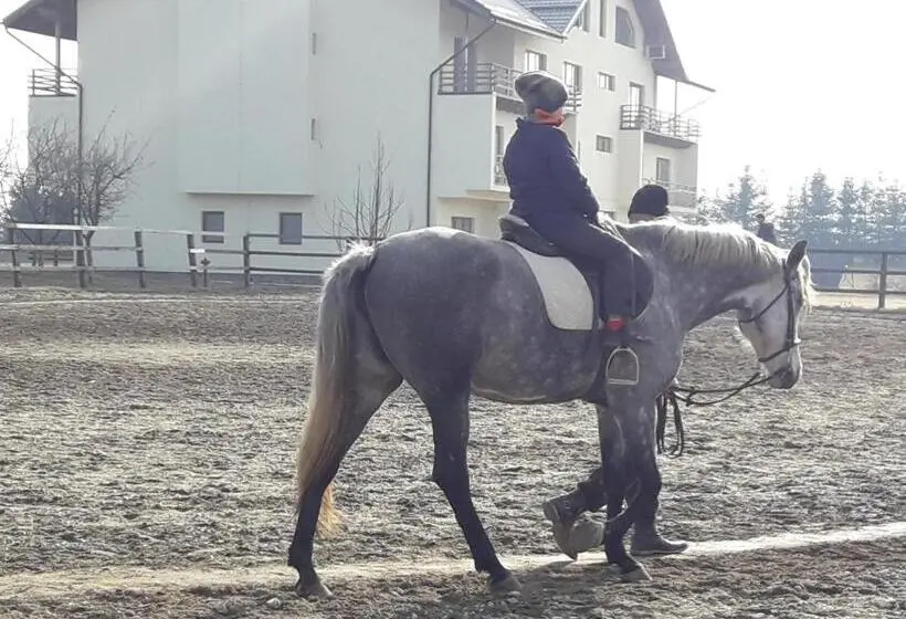 Perhehuone, Pensiunea Kyfana Zarnesti