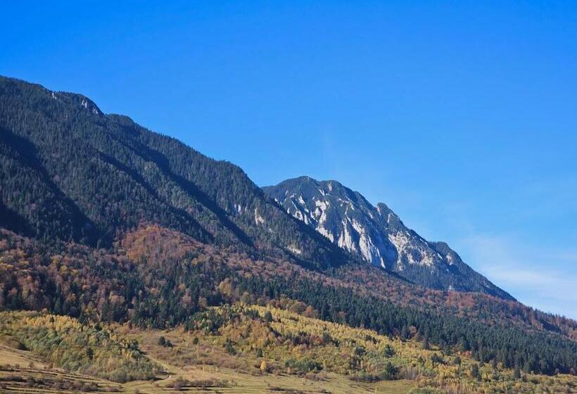 家庭间, Pensiunea Kyfana Zarnesti