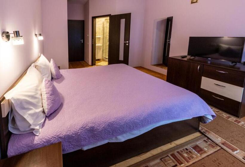 غرفة قياسية, Pension Master