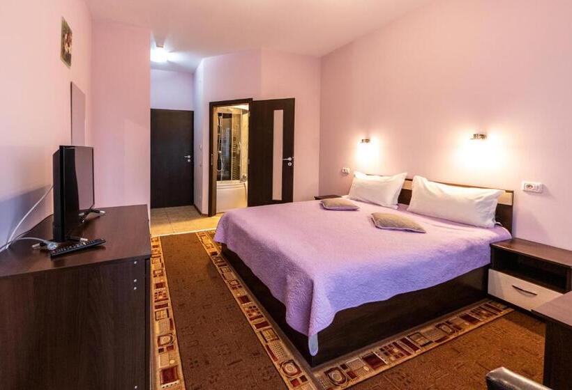 غرفة قياسية مطلة على الجبل, Pension Master