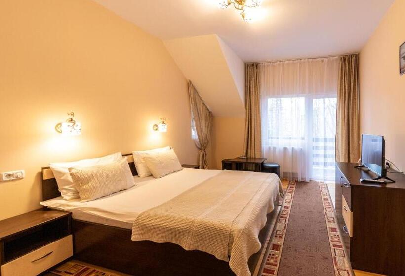 غرفة قياسية مطلة على الجبل, Pension Master