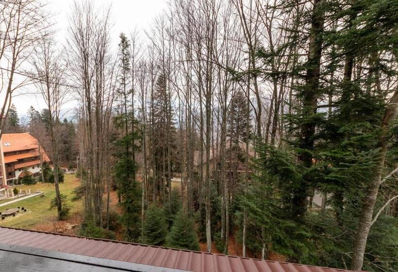 غرفة قياسية مطلة على الجبل, Pension Master