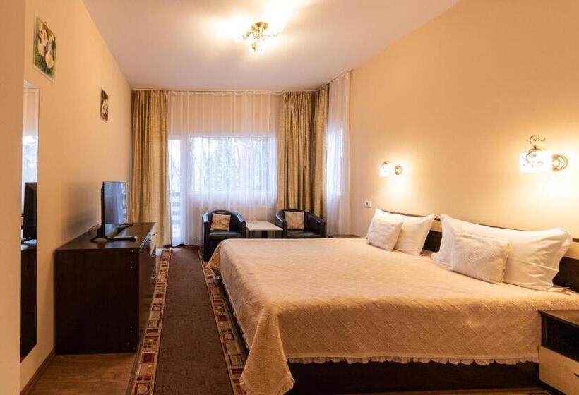 غرفة قياسية مطلة على الجبل, Pension Master