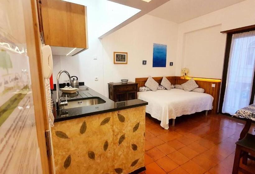 Апартаменты 1 Спальня, Solar Dos Carvalhos   Apartamentos De Turismo