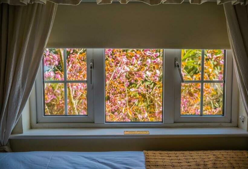 غرفة قياسية, Ashe S Accommodation