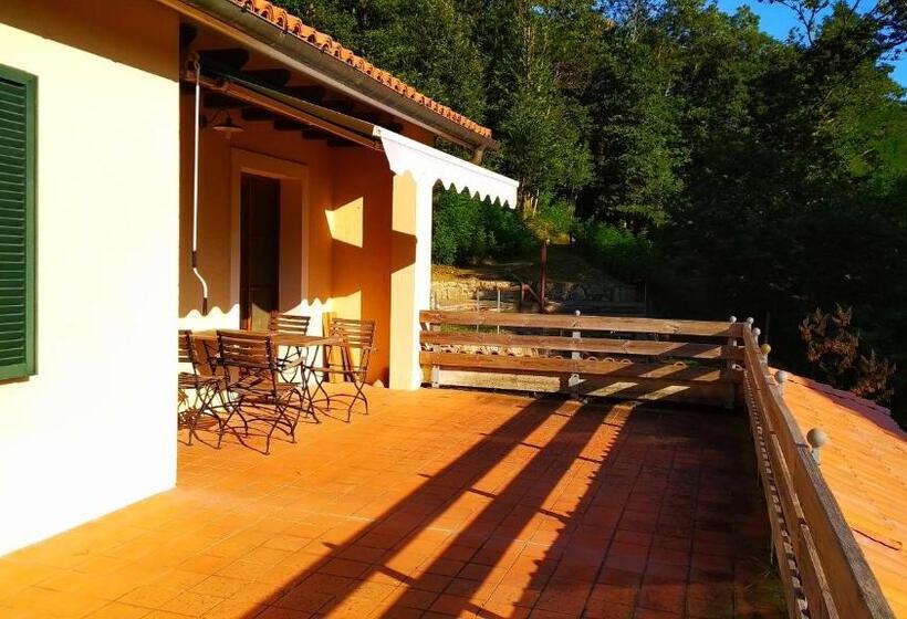 شقة غرفة واحدة, Agriturismo La Casa Del Sarto