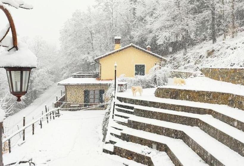 شقة غرفة واحدة, Agriturismo La Casa Del Sarto