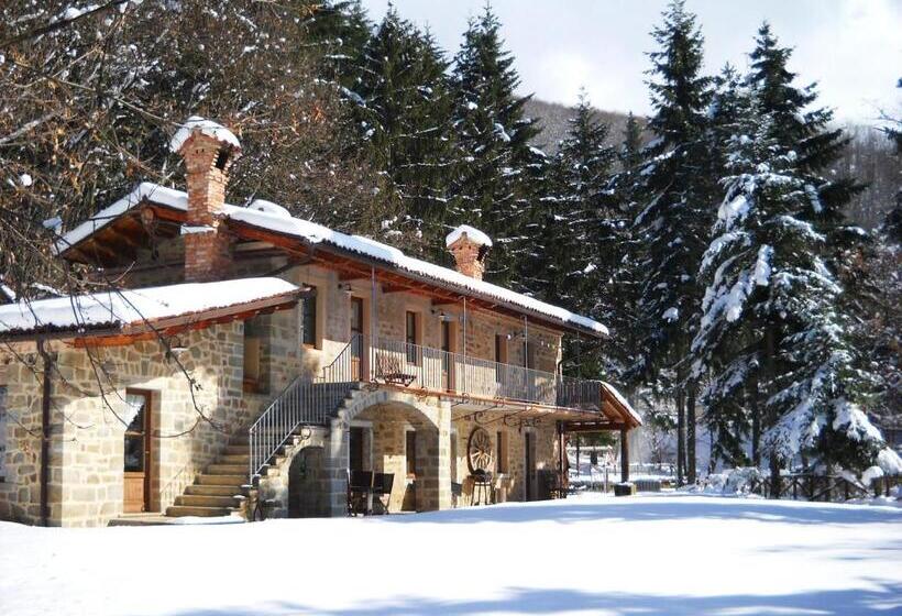 غرفة إقتصادية, Agriturismo La Casa Del Sarto